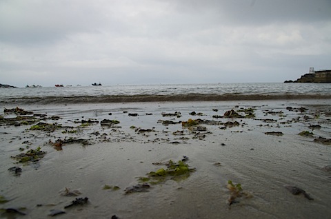 IMGP1823.jpg
