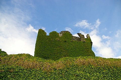 IMGP2078.jpg