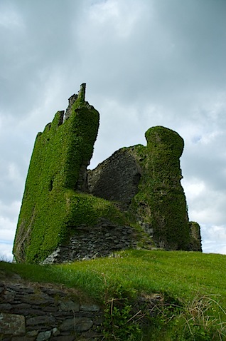 IMGP2163.jpg