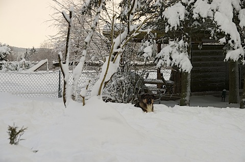 IMGP9114 - Version 2.jpg